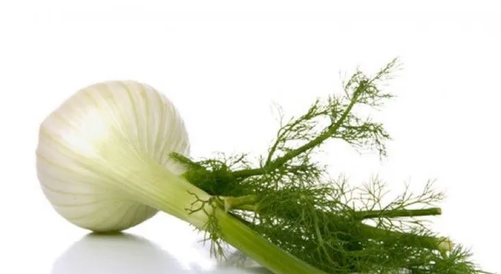 5 plantas que te pondrán los senos un poco más grandes 