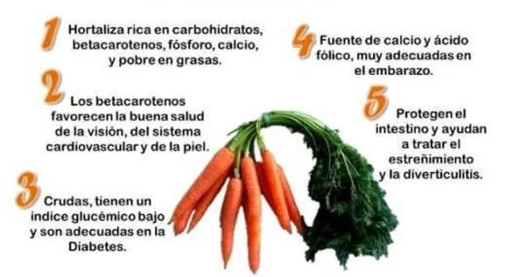  Las zanahorias son una mina de oro en nutrientes; sirven para tratar la ceguera nocturna y la fotofobia.