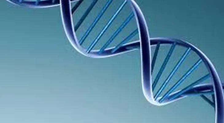 El ADN basura determina evolución del cáncer