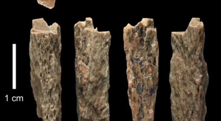 Hallan por primera vez restos de un niño nacido de dos especies humanas diferentes 