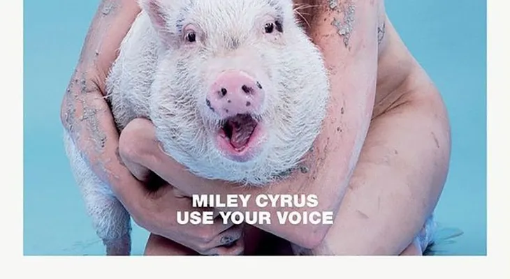 Miley Cyrus: "Es muy triste decirlo, mi querida amiga Pig Pig ha fallecido 