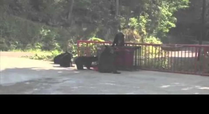 El que ríe de último ríe mejor: un hombre trató de asustar a unos osos....(VIDEO)
