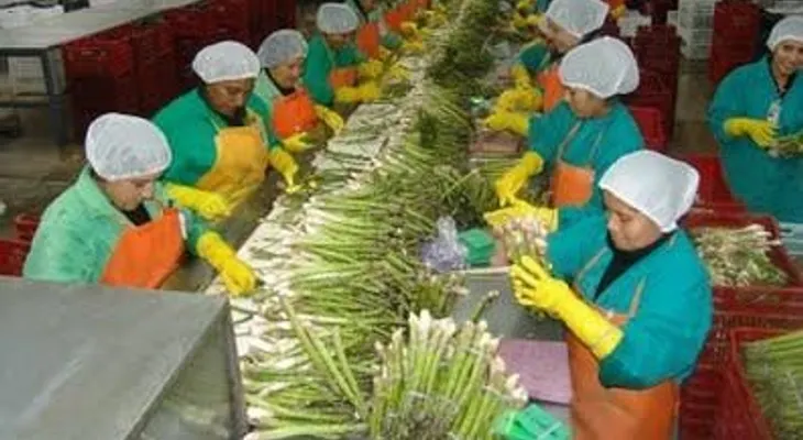 Promoverán exportaciones agrícolas en ferias de EEUU y Francia.