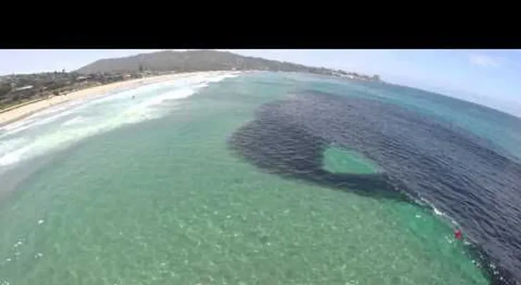 Mancha negra? ¡Que asombroso! (Video)