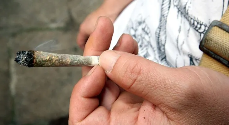 Dicen que la marihuana podría ser clave para combatir el ébola 