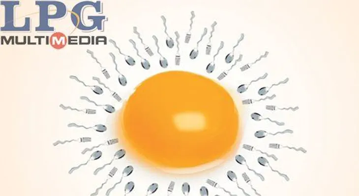 10 alimentos mejoran la fertilidad y el sexo
