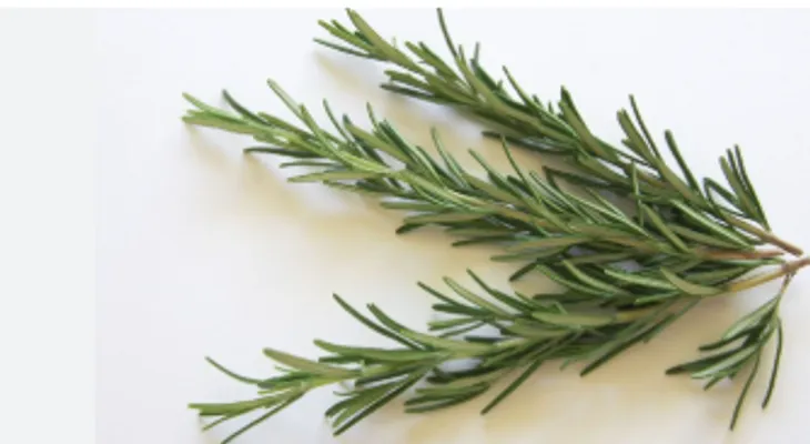 Infusiones que impulsan crecimiento del cabello