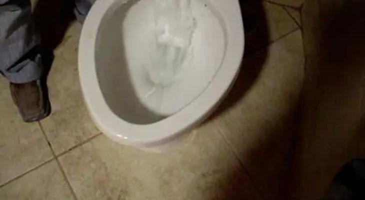 Después de leerlo nunca más descargará el baño con la tapa abierta 