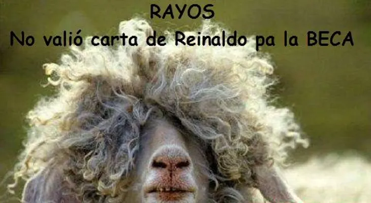 Usuarios de las redes se burlan con memes de la Ministra que negó beca 