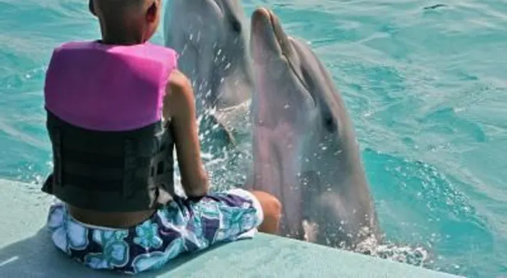 Terapia con delfines para tratar a niños con síndrome de Down
