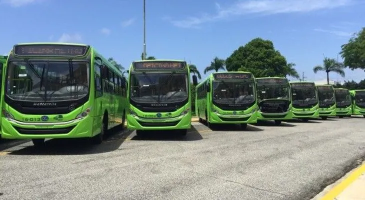Omsa pondrá en circulación 98 guaguas