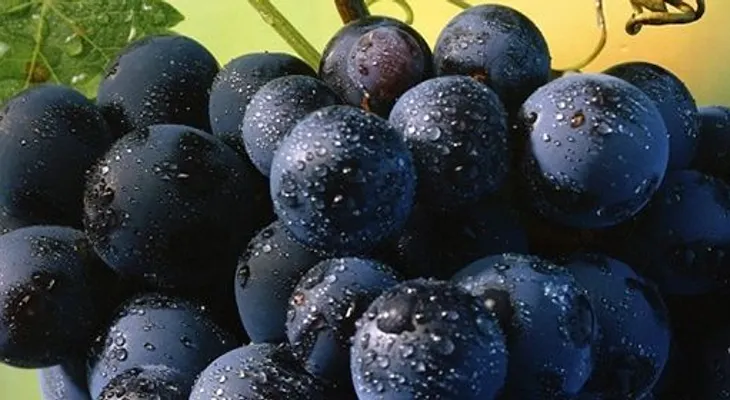 Un racimo de uvas que solo se cultiva en Japón vendido en 4.000 euros