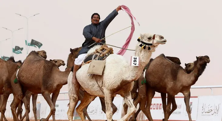 Escándalo en Arabia Saudita: bótox y cirugías estéticas en un concurso de belleza de camellos