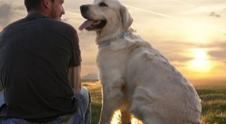 Descubren por qué el perro es el amigo más fiel 