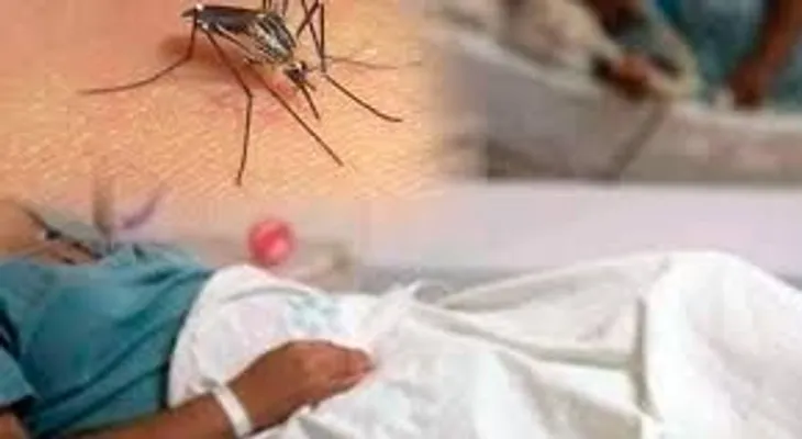 Comparte y ayuda a evitar muertes por dengue