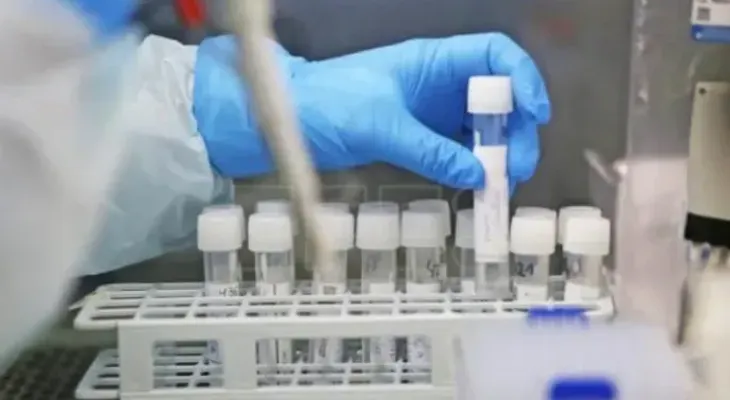 Científicos encuentran una forma de bloquear la infección por covid