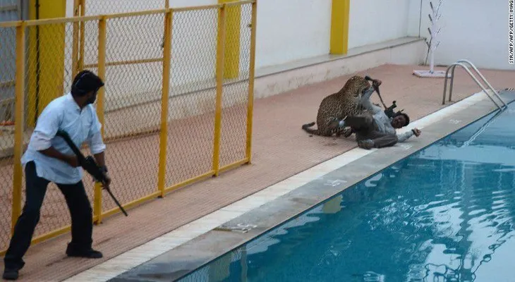 Leopardo suelto genera caos en una escuela de India