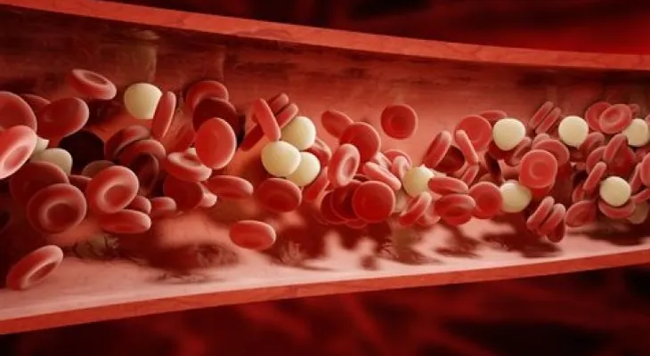 ¿Cómo depurar la sangre con bebidas naturales?