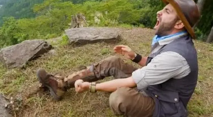 El youtuber Coyote Peterson se dejó picar por el avispón asesino y sintió un dolor "absolutamente agudo"