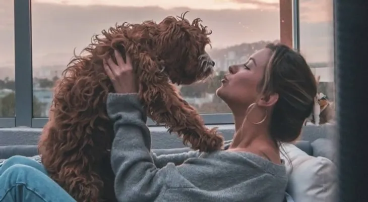 5 señales de que tienes una relación tóxica con tu perro