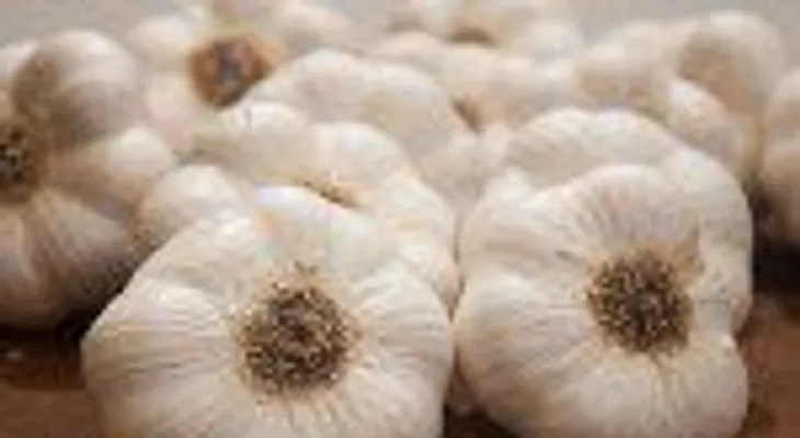 ¡Cuídate! Beneficios que te brinda un diente de ajo diario
