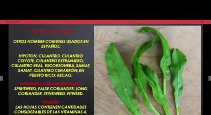 Cómo eliminar de forma efectiva el Colesterol, Trigliceridos y perder peso 