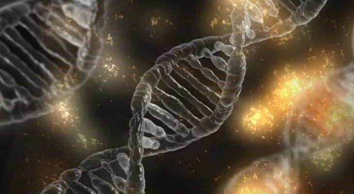  Crean el mayor árbol genealógico más grande del mundo