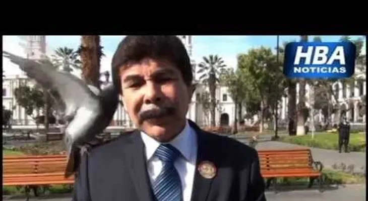Palomas atacan alcalde cuando decía que planea erradicarlas (VIDEO)