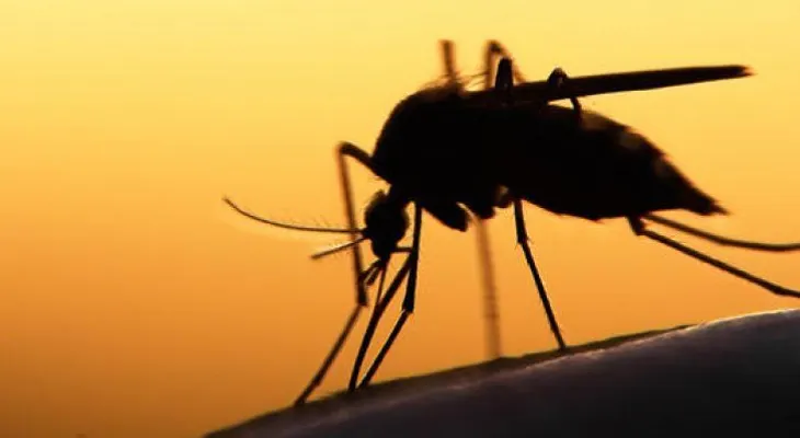 ¿Cómo podemos prevenir el Virus del Zika?