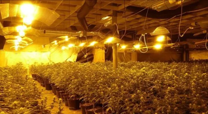 Gobierno EEUU autoriza a bancos a operar con negocios de venta de marihuana
