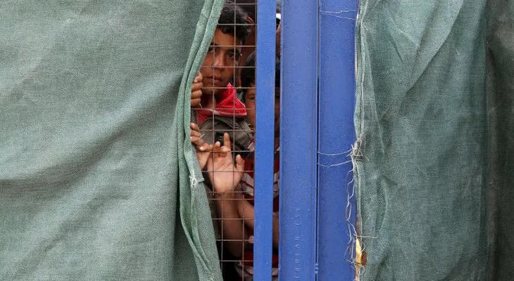 ¡Bienvenidos!: Los neerlandeses reciben refugiados con cabezas de cerdo (VIDEO FUERTE)
