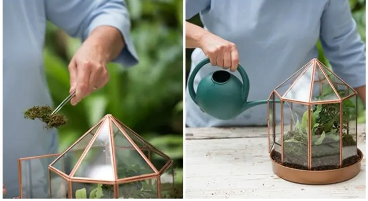 Cómo hacer un mini jardín de ensueño