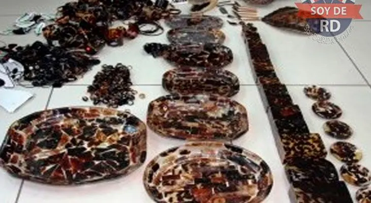 Decomisan artesanías fabricadas con concha de carey