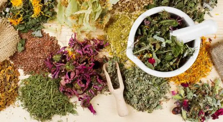 15 plantas medicinales que arruinarían las farmacéuticas