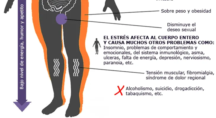 El estrés crónico y los trastornos serios a la salud