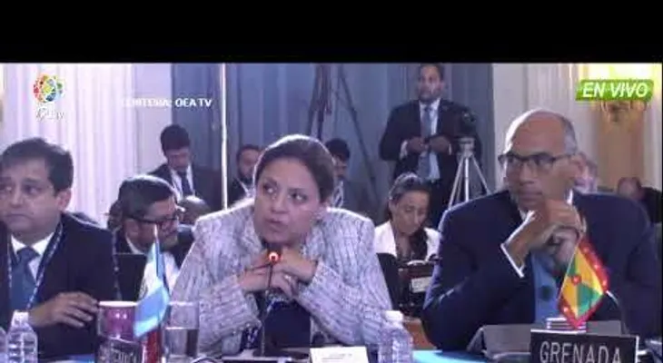 En respaldo de EE.UU, República Dominicana vota por resolución OEA que declara ilegítimos comicios en Venezuela