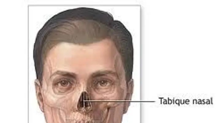 El tabique nasal podrá ser reconstruido totalmente, gracias a una nueva cirugía 