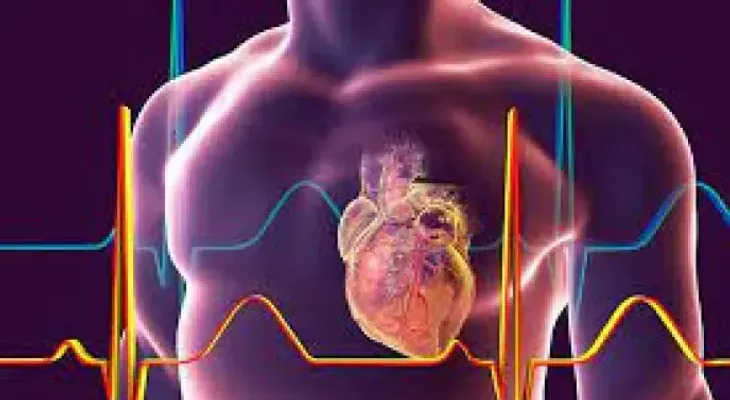 La salud cardiovascular depende de una dieta sana y equilibrada