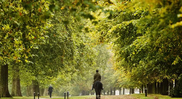 El calentamiento global está adelantando cada año más la primavera