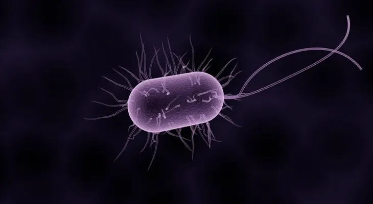 Qué es el microbioma y por qué abre la puerta a curar enfermedades