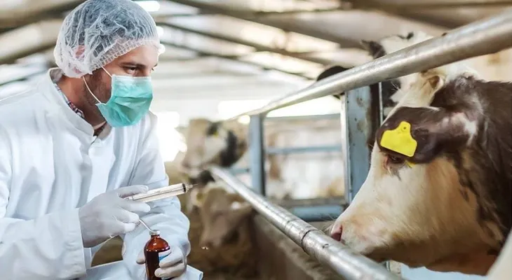 Ganadería aplica rigurosas regulaciones para salvaguardar la salud animal y humana
