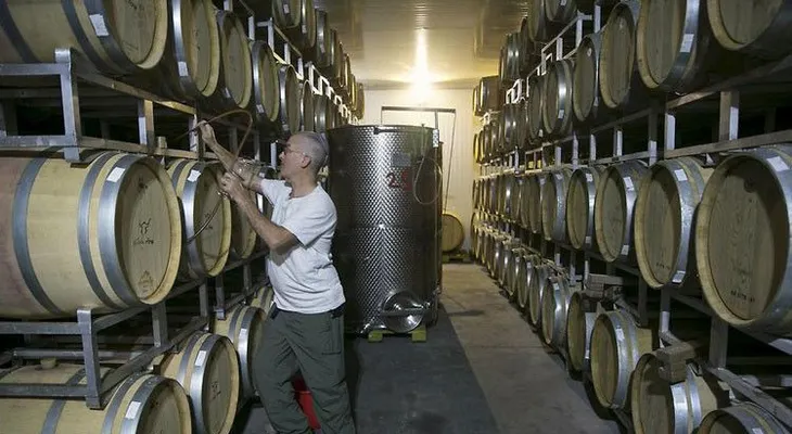 Científicos tratan de recrear el vino de la época de Jesús