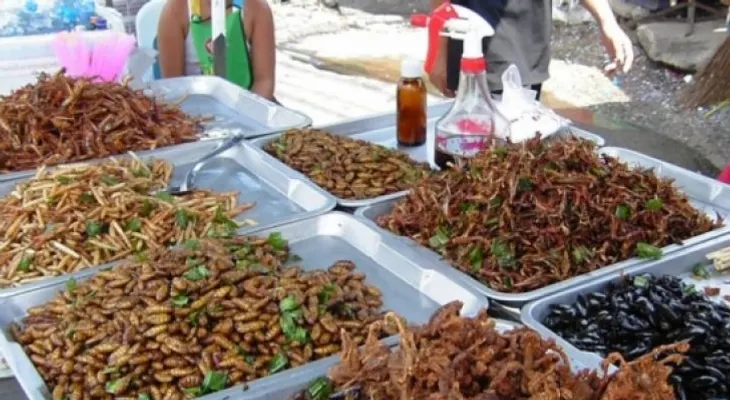 Comer insectos puede ser bueno para la salud, según estudio