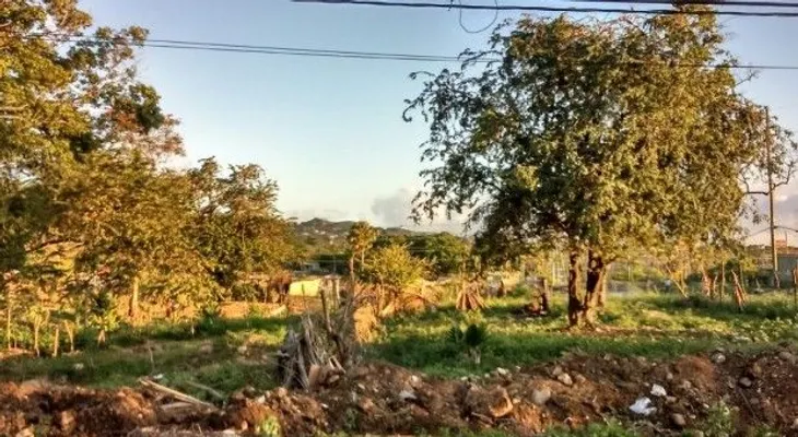 Destruyen viviendas durante desalojo en Puerto Plata
