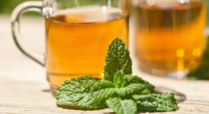 Menos vello y náuseas: beneficios de la hierbabuena