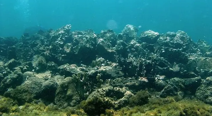 Expertos encuentran cerca de Haití la Santa María de Cristóbal Colón 