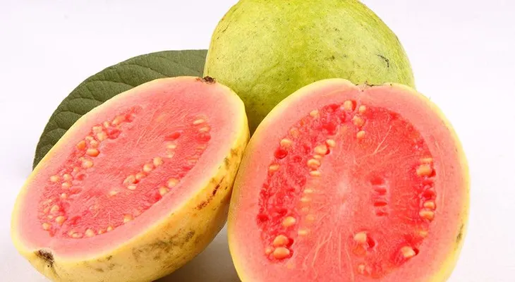 La guayaba para las amebas y el dolor de muela. Conoce sus milagrosos beneficios