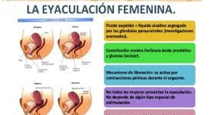 Característica de la eyaculación femenina