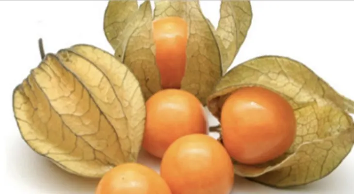 Esta pequeña fruta es un tesoro: cura la próstata, combate el estreñimiento y previene el cáncer de estómago, colon e intestino