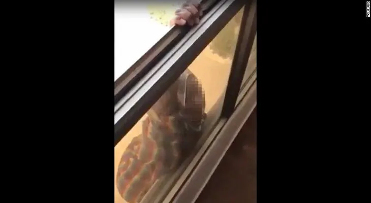 Una mujer graba a su empleada doméstica mientras cae por la ventana sin prestarle ayuda